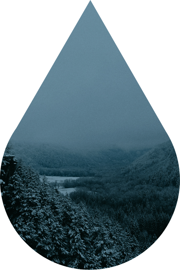 image en forme de goutte d'eau avec une fôret à l'intérieur